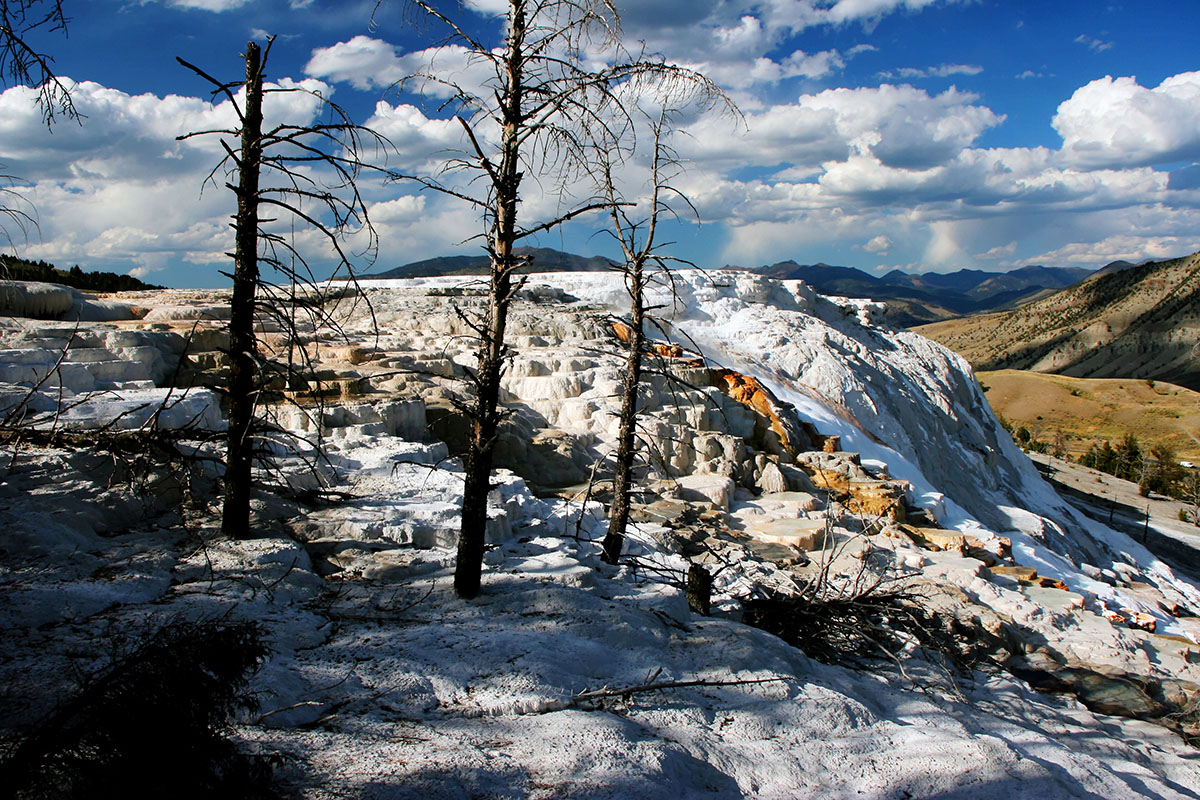 Mammoth Hot Springs Terrace